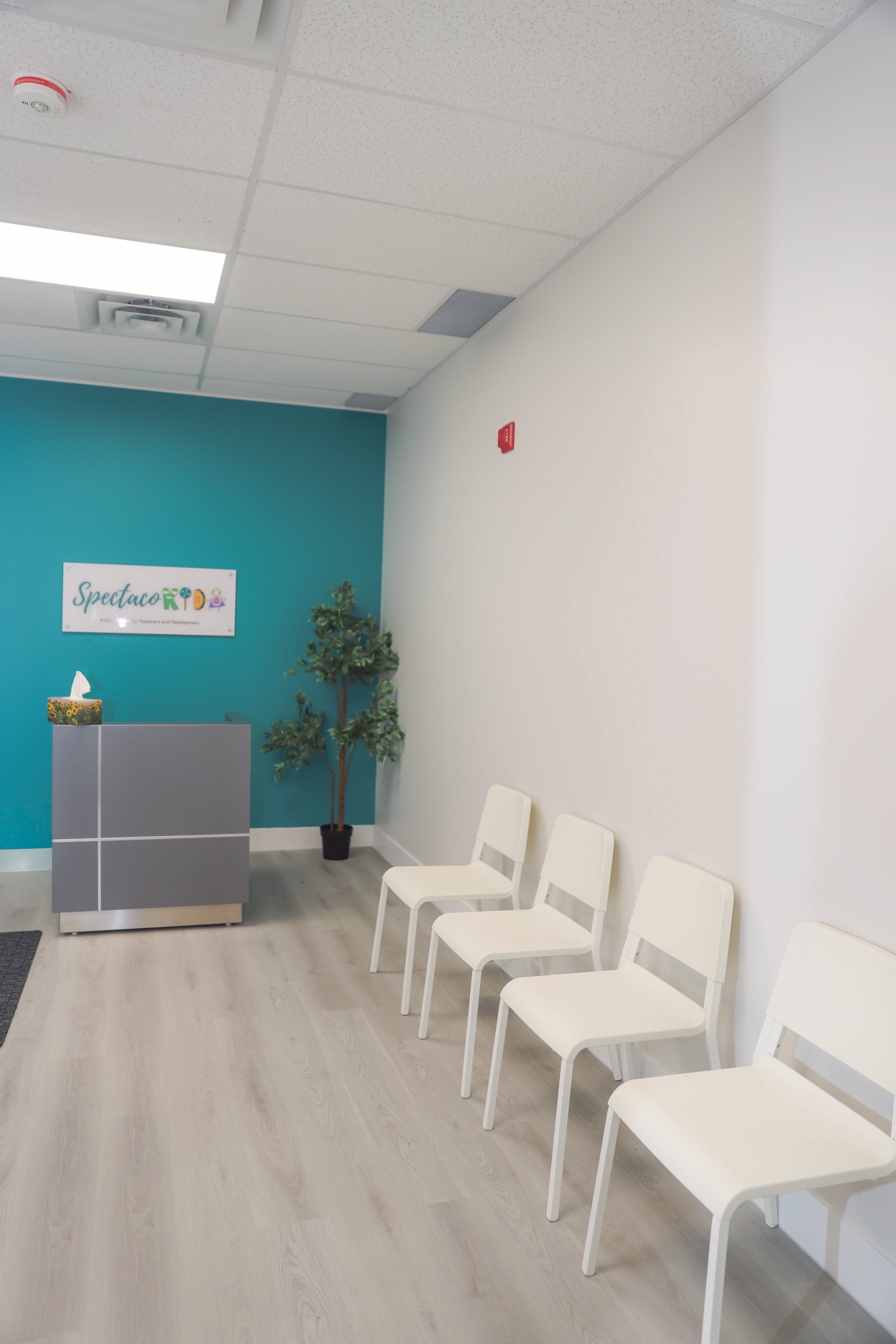 Gallery photo