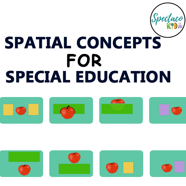 Spatial Concepts for Special Education