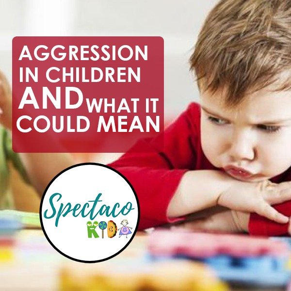 Aggression in children and what it could mean