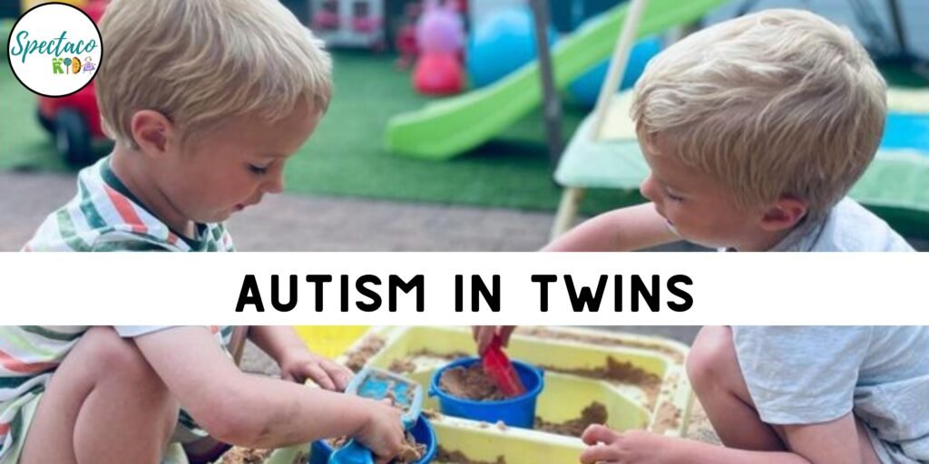 Autism In Twins