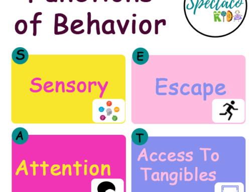 The Functions of Behavior