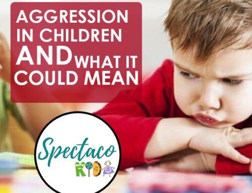 Aggression in children and what it could mean
