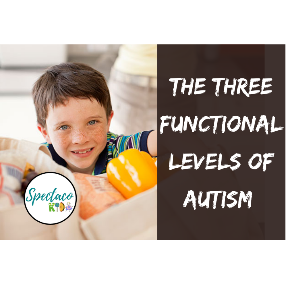 three functional levels of autism