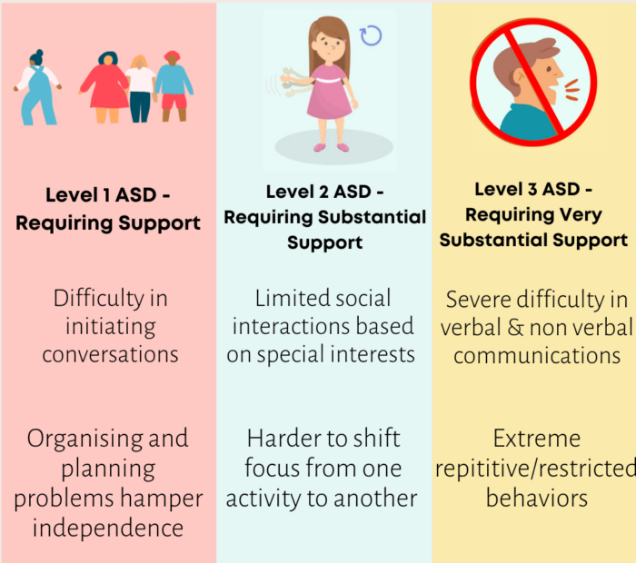 The Three Functional Levels of Autism Spectacokids Speech & ABA